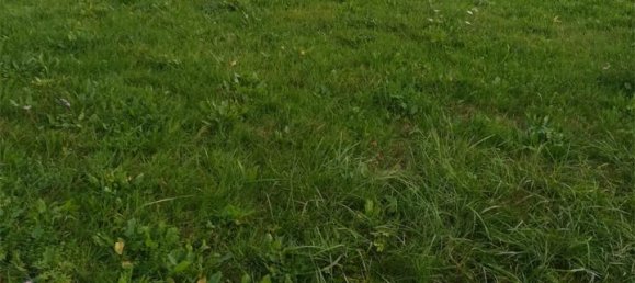 Terreno de 1 habitación en Pordenone, Italy No. 125388 6