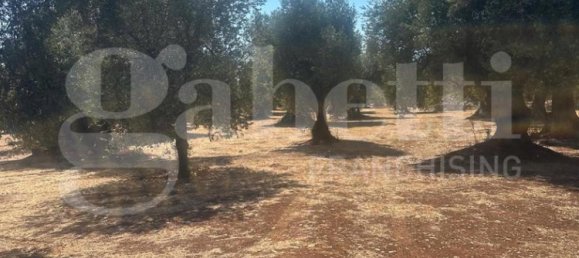 Grundstück in Ostuni, Italy 6500m², Nr. 344707 7