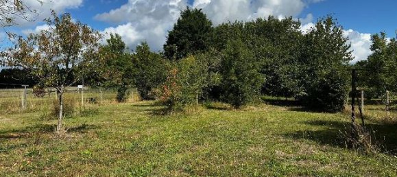 3 Schlafzimmer Haus in Cinais, France, Nr. 343204 8