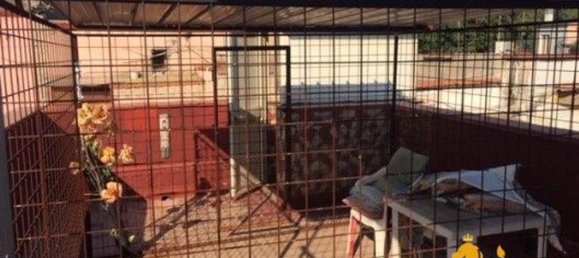 2-Zimmer Wohnung in Naples, Italy, Nr. 91302 13