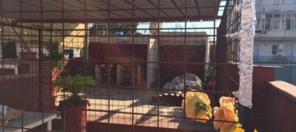 2-Zimmer Wohnung in Naples, Italy, Nr. 91302 12