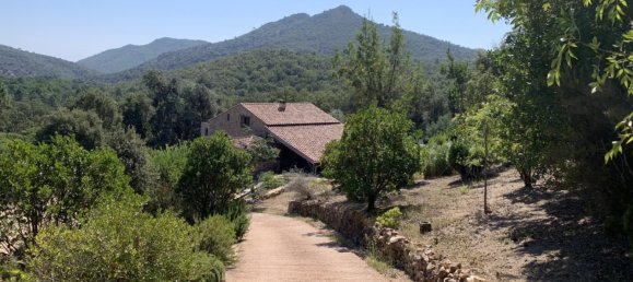 4 chambres Villa à Conca, France No. 249555 2