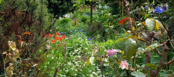 3 غرف نوم منزل في Dresden, Germany رقم 289626 8