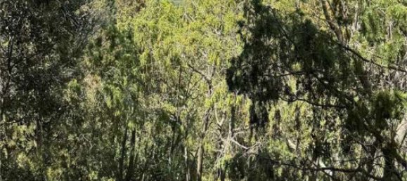 5 غرف نوم فيلا في Palau, Italy رقم 19374 16