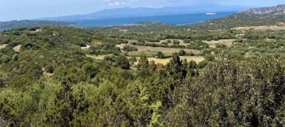 5 غرف نوم فيلا في Palau, Italy رقم 19374 36