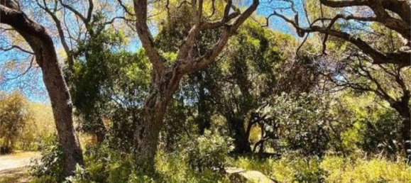 5 غرف نوم فيلا في Palau, Italy رقم 19374 35