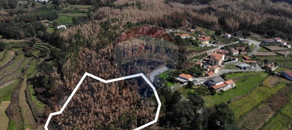 Grundstück in Sever do Vouga, Portugal 8750m², Nr. 76210 6