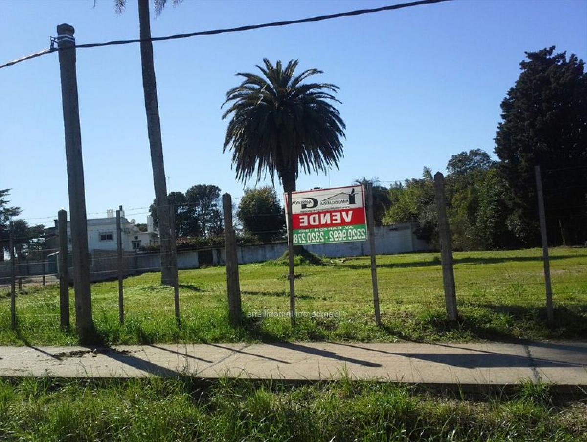 Terrain à Montevideo, Uruguay No. 15113