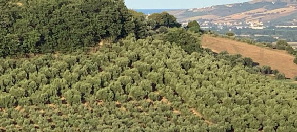 4-salle Maison à Castellalto, Italy No. 255307 9