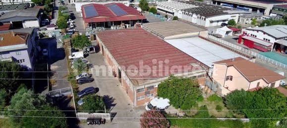 5 rooms Warehouse in Grosseto, Italy No. 291308 10