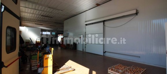 5 rooms Warehouse in Grosseto, Italy No. 291308 7