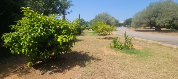 Villa de 3 dormitorios en Castellón, Spain No. 150624 46