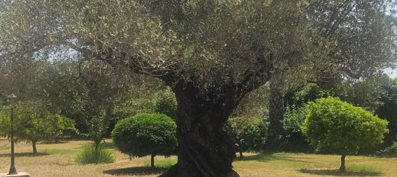 Villa de 3 dormitorios en Castellón, Spain No. 150624 44