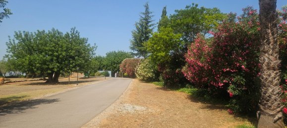 Villa de 3 dormitorios en Castellón, Spain No. 150624 3