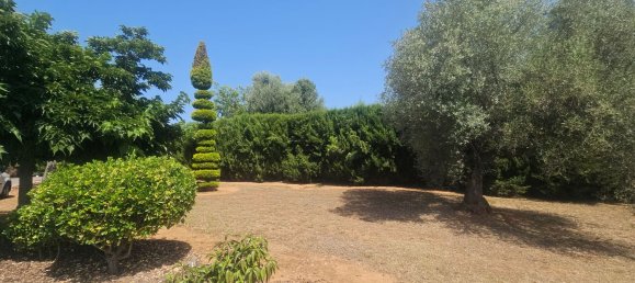 Villa de 3 dormitorios en Castellón, Spain No. 150624 45