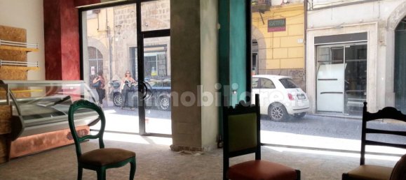 5 rooms Commercial property in Viterbo, Italy No. 348377 3