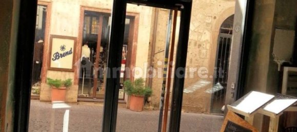 5 rooms Commercial property in Viterbo, Italy No. 348377 6