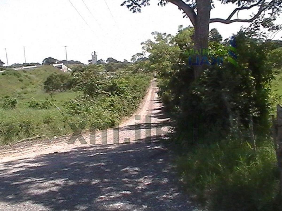  قطعة أرض في Veracruz, Mexico رقم 206370