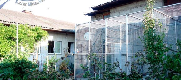 Дом с 6 комнатами в Целлерндорф, Австрия № 218453 18