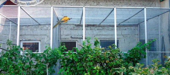 Дом с 6 комнатами в Целлерндорф, Австрия № 218453 21