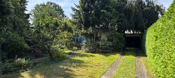 1 chambre Bungalow à Franzosisch Buchholz, Germany No. 291440 29