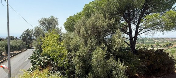 5 Schlafzimmer Haus in Motta Sant'Anastasia, Italy, Nr. 346016 35