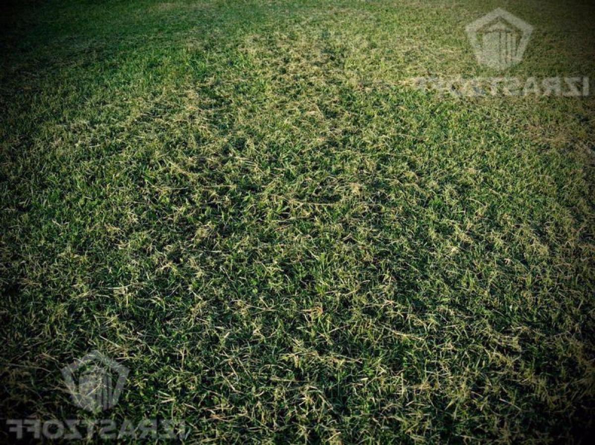  Land in Tigre, Argentina No. 115560