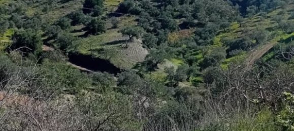 4 غرف نوم منزل في Cartama, Spain رقم 148637 13