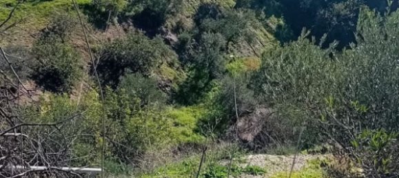 4 غرف نوم منزل في Cartama, Spain رقم 148637 15