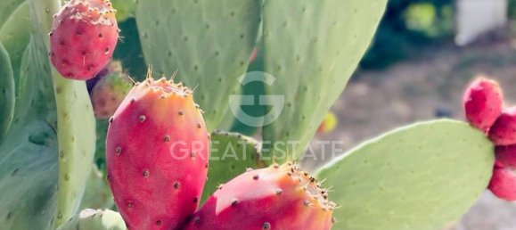 3 bedrooms House in Todi, Italy No. 268240 43