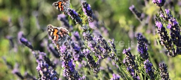 3 bedrooms House in Todi, Italy No. 268240 41