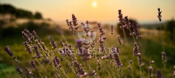 3 bedrooms House in Todi, Italy No. 268240 40