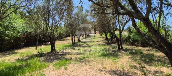 3 bedrooms House in Todi, Italy No. 268240 46