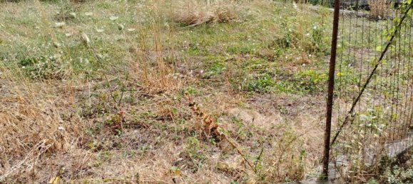 7 rooms House in Messina, Italy No. 89363 26