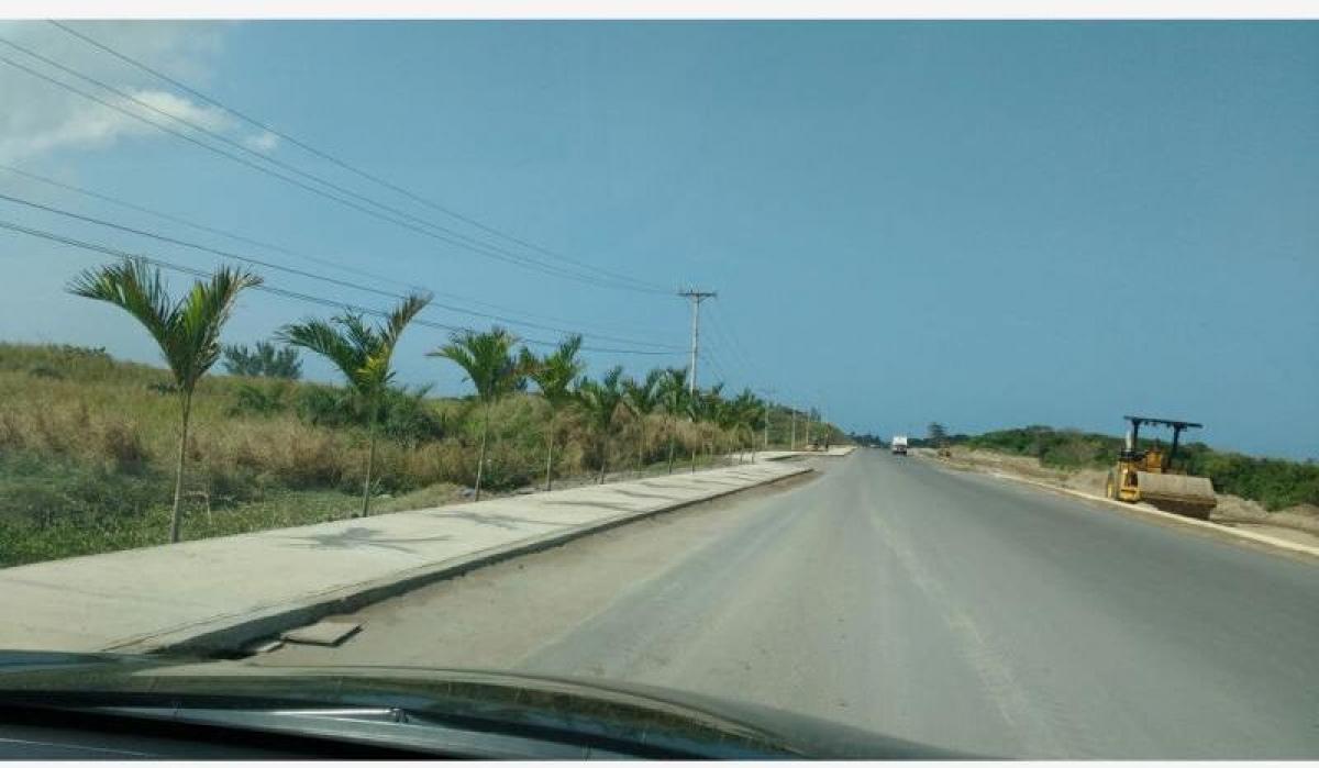  Land in Veracruz, Mexico No. 203433