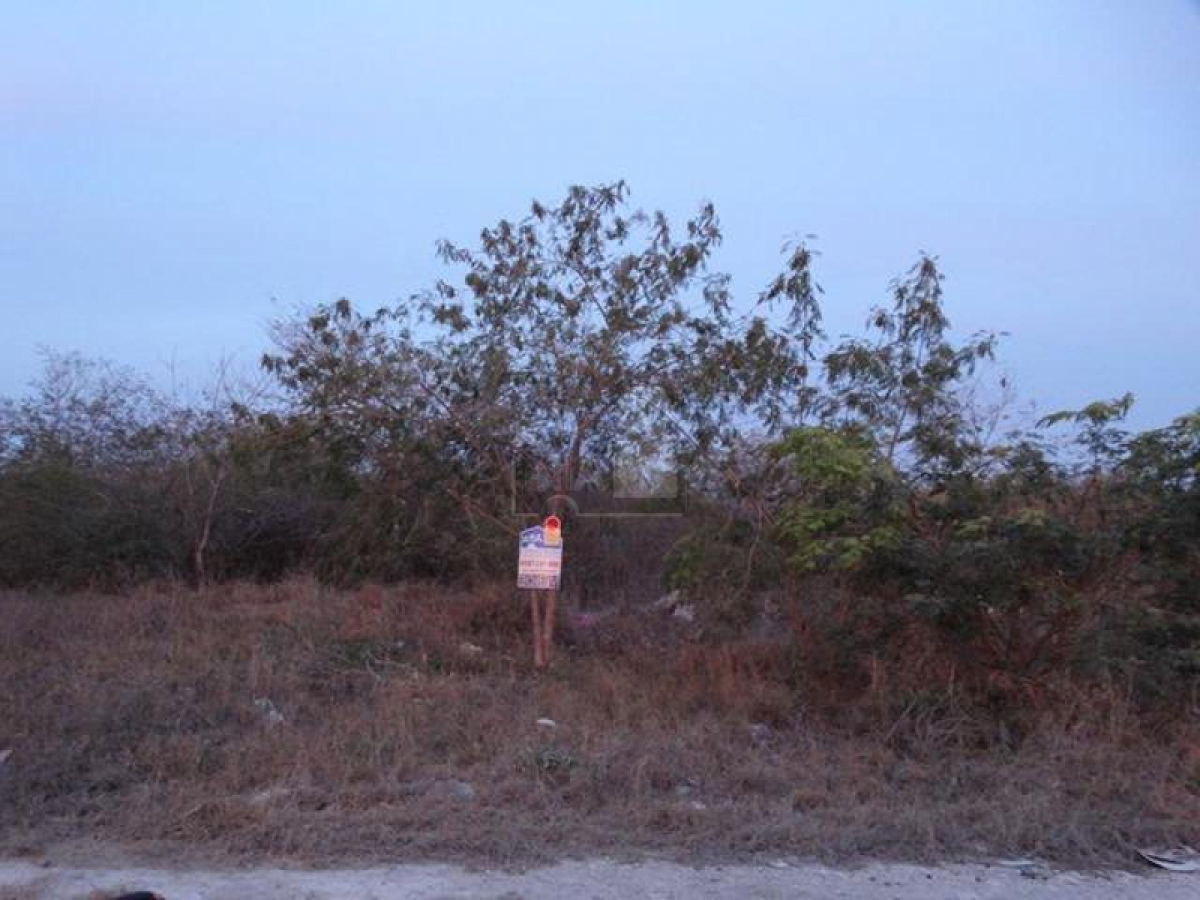  Land in Merida, Mexico No. 112420