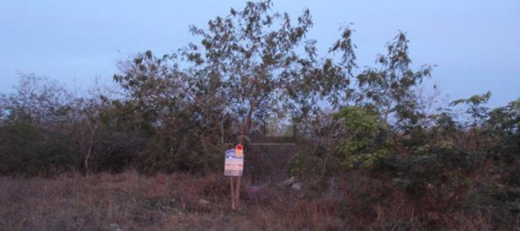  Land in Merida, Mexico No. 112420 2