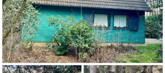 4 Schlafzimmer Haus in Ammerland, Germany, Nr. 285070 2