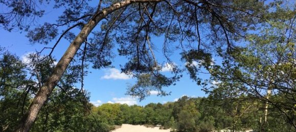 4 Schlafzimmer Haus in Ammerland, Germany, Nr. 285070 5