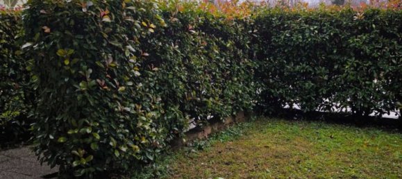 2-Zimmer Wohnung in Castel Mella, Italy, Nr. 209392 6