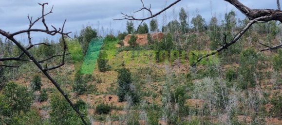 Land in Silves, Portugal No. 40990 9