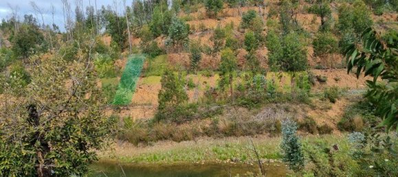 Land in Silves, Portugal No. 40990 7