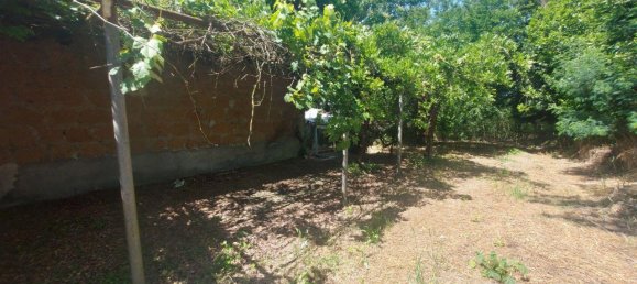 285406m² Land in Civita Castellana, Italy No. 297450 9