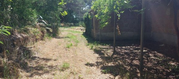 285406m² Land in Civita Castellana, Italy No. 297450 14