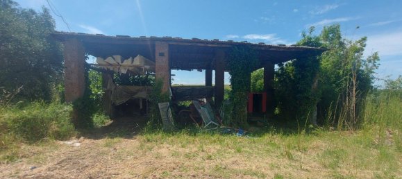 285406m² Land in Civita Castellana, Italy No. 297450 3