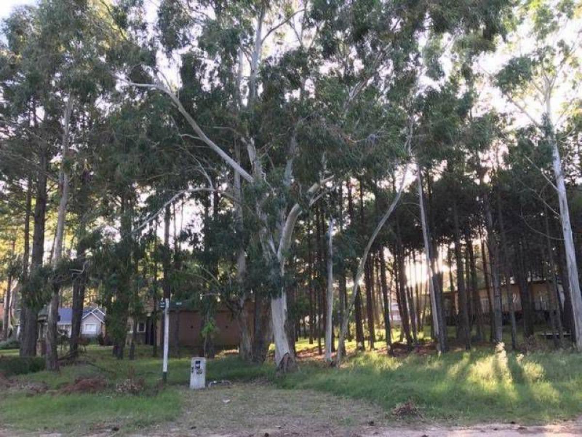  Land in Mar del Plata, Argentina No. 117488