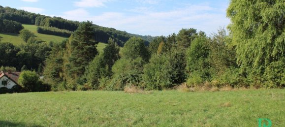  Land in Altlengbach, Austria No. 97052 3