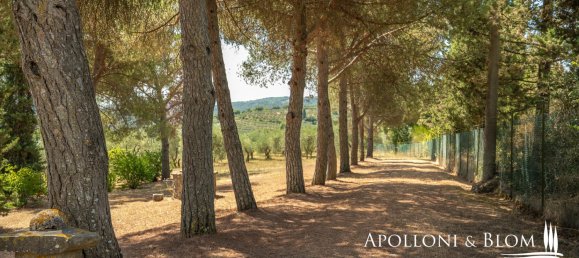 4 Schlafzimmer Villa in Sinalunga, Italy, Nr. 352642 32
