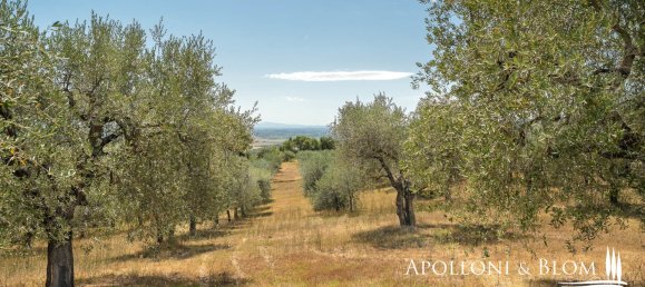4 Schlafzimmer Villa in Sinalunga, Italy, Nr. 352642 43