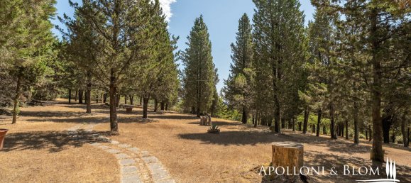 4 Schlafzimmer Villa in Sinalunga, Italy, Nr. 352642 36